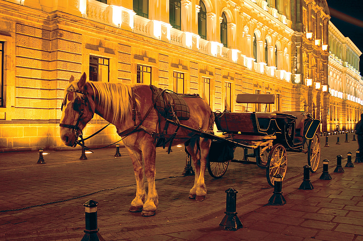 Quito ecuador, häst, historiska centrum
