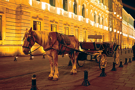 Quito-ecuador, paard, historische centrum