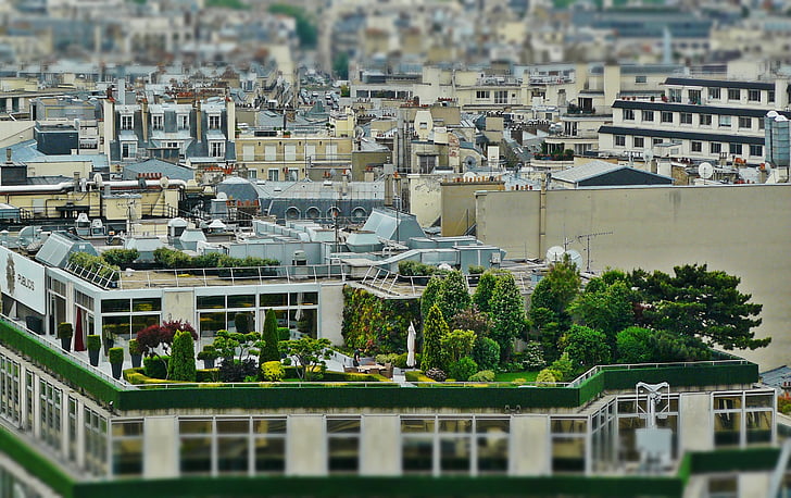 terrassa, jardí del terrat, arquitectura, París, cobertes, edifici, cases