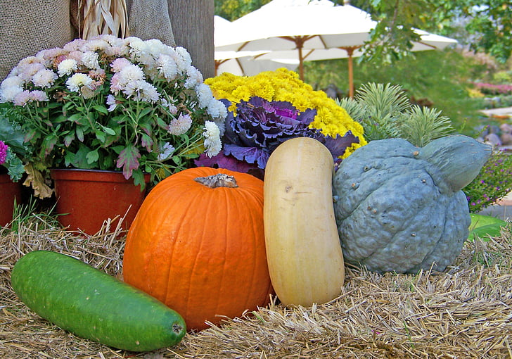 gourdes, citrouille, fleurs, Hay, l’automne, automne, Halloween