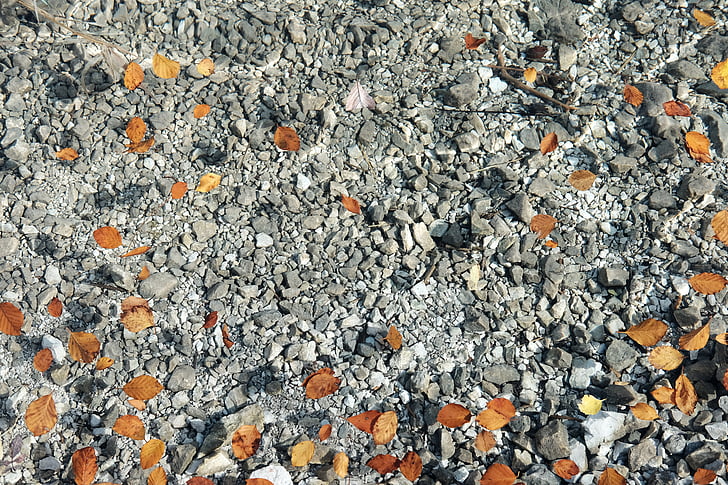 Foto, marrone, foglie, pietre, Costa, rocce, pietra
