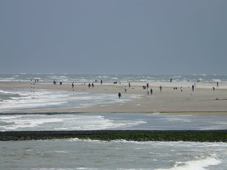 plajă, mare, vânt, val, Marea Nordului, umane, Baltrum