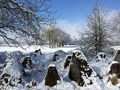 독일, eifel, 자연 공원 eifel-hohes 벤, 서쪽 벽, 지 그 프 리드 라인, 자연, 겨울
