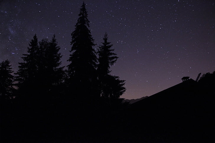 tamsoje, vidurnakčio, naktį, siluetas, dangus, žvaigždės, medis