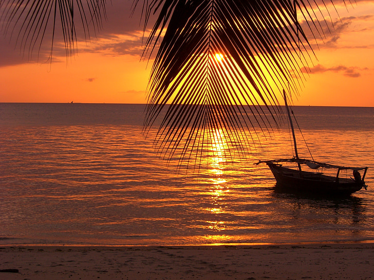 Zanzibar, Palm, vatten, kvällen, Boot, solnedgång, havet