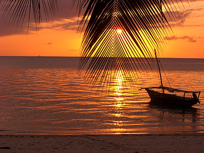 Zanzibar, Palm, air, malam, boot, matahari terbenam, laut