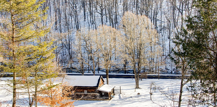 snijeg, pokrivena, kuća, u okruženju, stabla, kuće, samoća