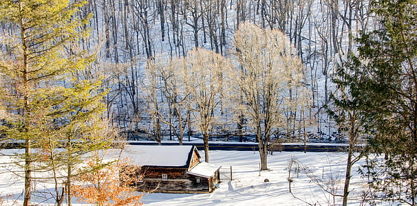 neve, cobertos, casa, cercado, árvores, casas, solidão