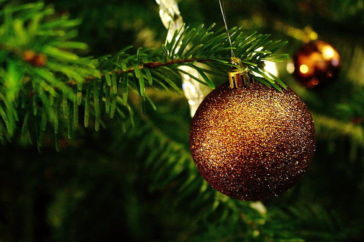 Božić, božićno drvce, Božićna čestitka, zelena, pozadina, Božićni poklon, Pokloni