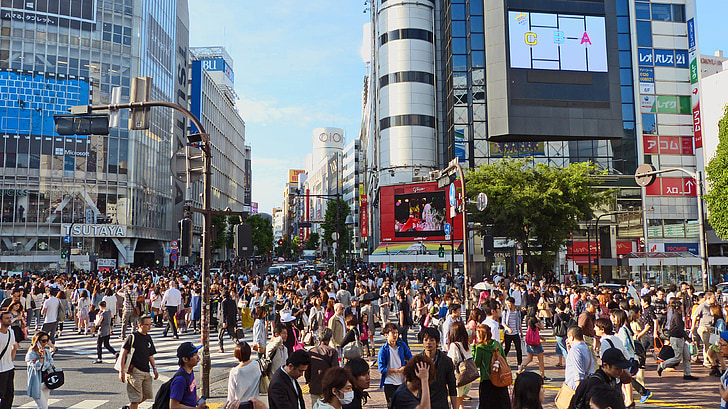 Japán, Tokió, Shibuya, japán, épület, tömeg, az emberek