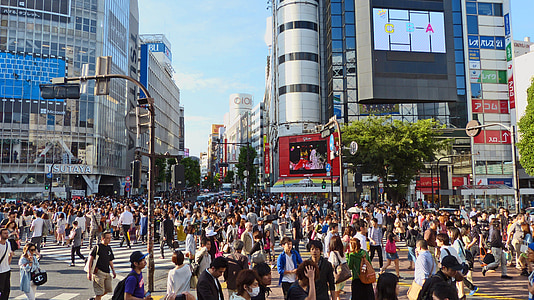 Japonia, Tokyo, Shibuya, Japoński, budynek, tłum, ludzie