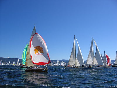 barcolana, wind, sails, sea, boat, nautical vessel, sailboat