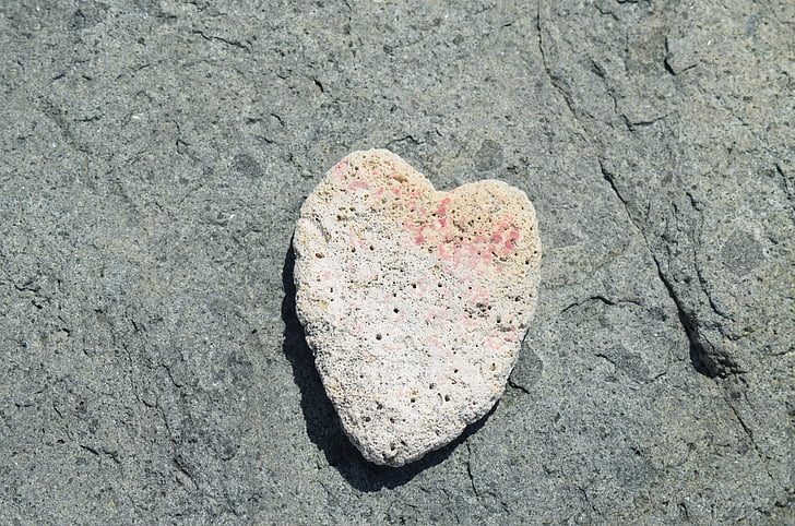 Coral, hart, liefde, natuur, Verliefd, Valentijn, bruiloft