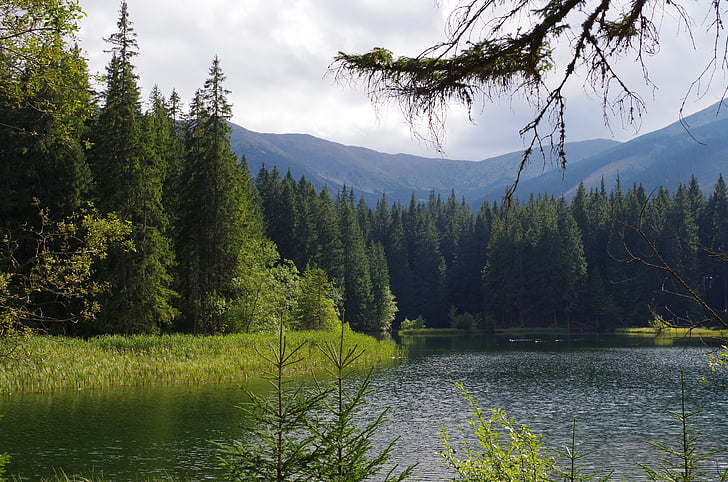 clear, lake, water, slovakia, priroda, mountains, forests