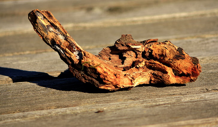 artefacto, pieza de madera, raíz, naturaleza