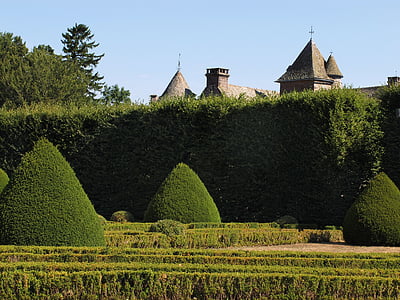 Sân vườn, tiếng Pháp, lâu đài, boxwood, sồi, Hedges, cordès