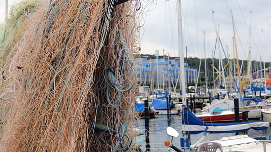 fishing net, fish, sea, seafaring, work, network, port