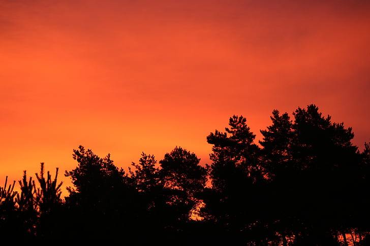 สีแดง, ท้องฟ้า, ตอนเช้า, morgenstimmung, ท้องฟ้าสีแดง, อารมณ์, รุ่งอรุณ