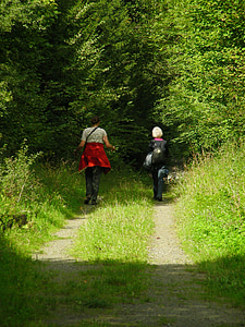 a piedi, distanza, foresta, natura, escursionismo, idilliaco
