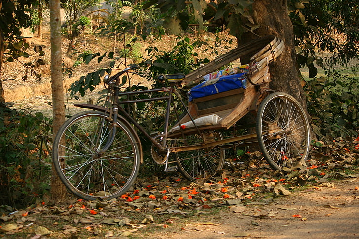 rickshaw, resta, Bangla Desh, transport, cultura, taxi, cicle
