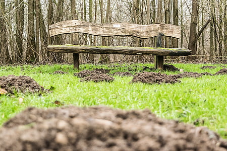 park bench, wood, mole, meadow, rest, bench, nature