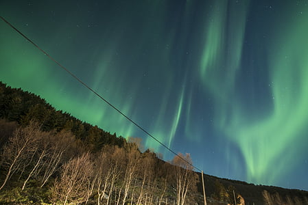 北极光, 罗弗敦, 挪威, 晚上, 绿色, 天空, 蓝色