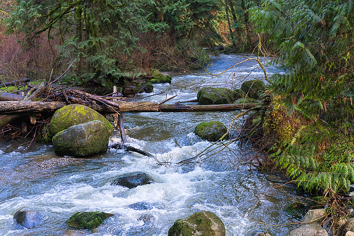 voda, Creek, Příroda, řeka, datový proud, jaro, malebný