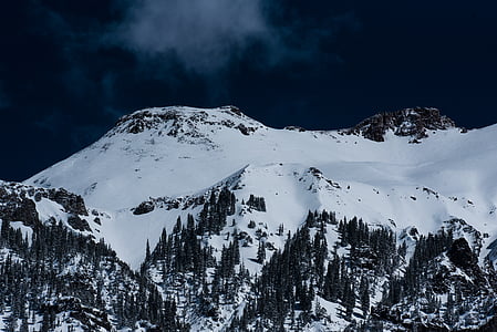 kalla, Mountain, snö, träd, vinter, public domain bilder, naturen