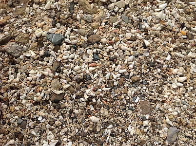 musslor, stranden, stenar, bakgrunder, Pebble, mönster, naturen