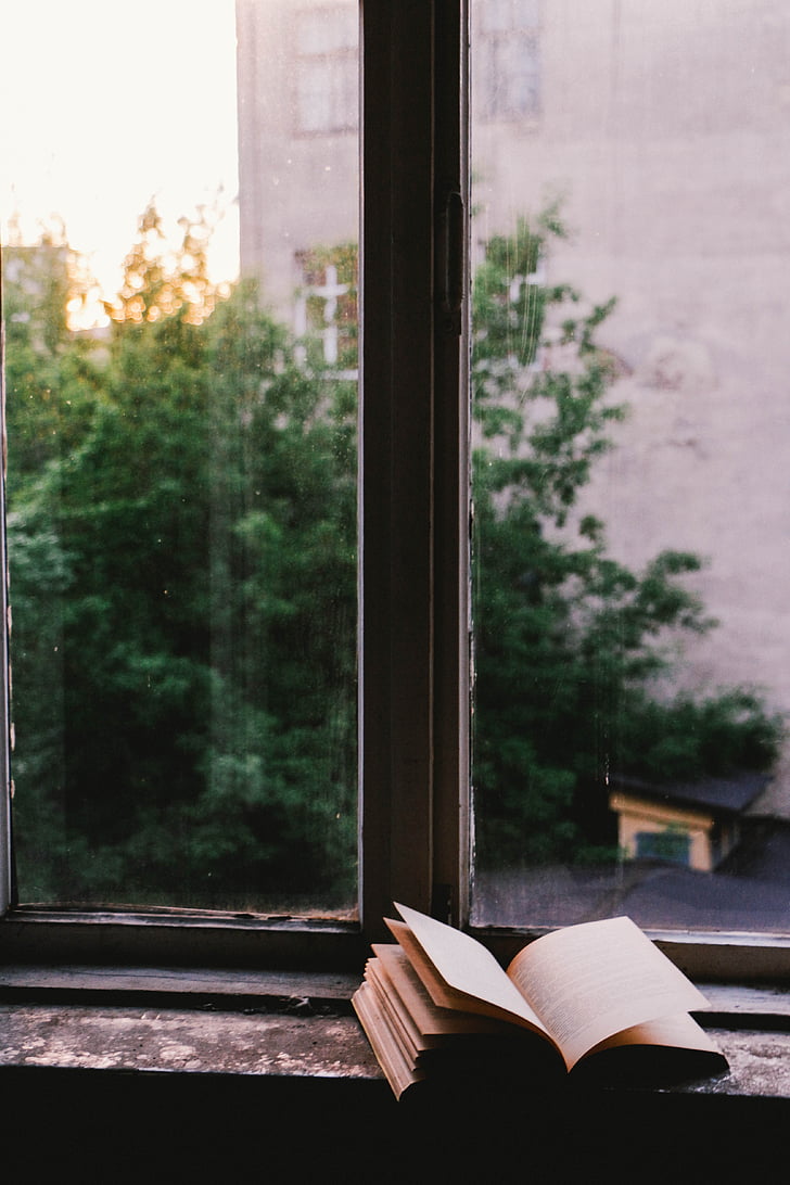 window, glass, shield, book, read, literature, reading