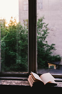 pencere, cam, kalkan, kitap, okuyun, Edebiyat, okuma