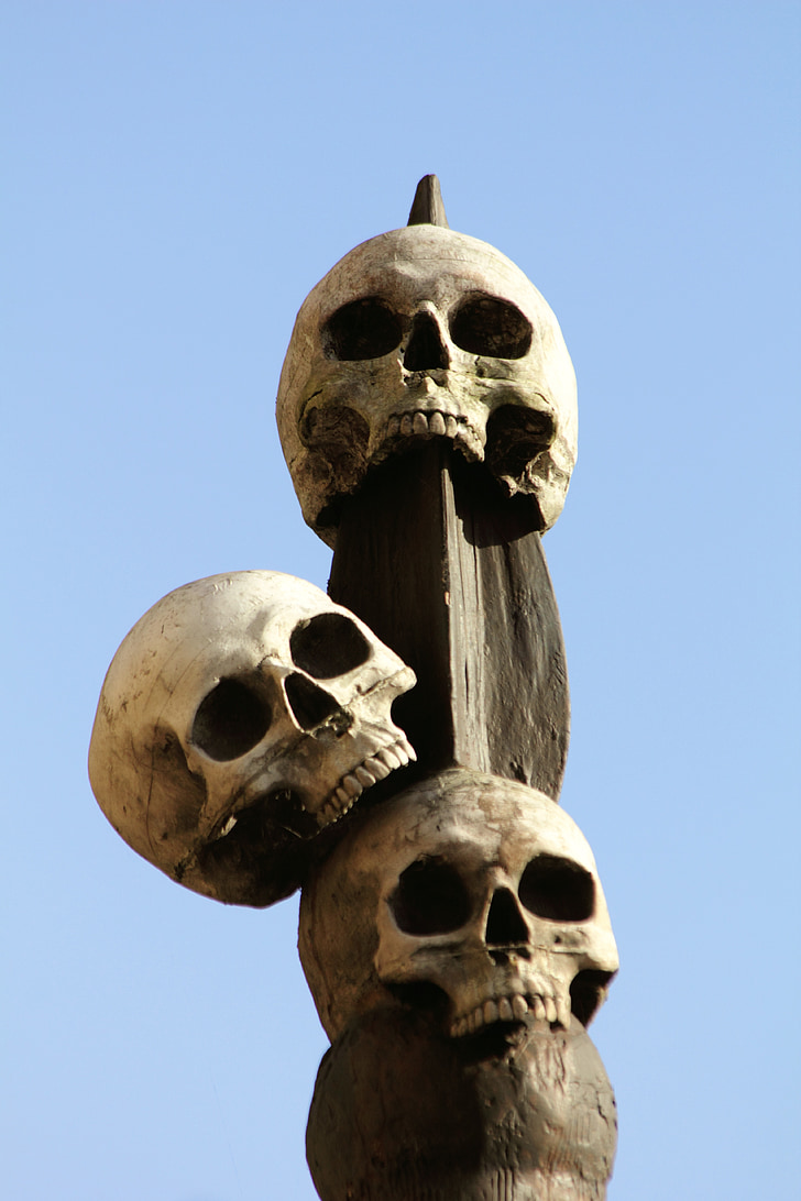 humà, cranis, esquelet, responsable, mort, horror, Halloween