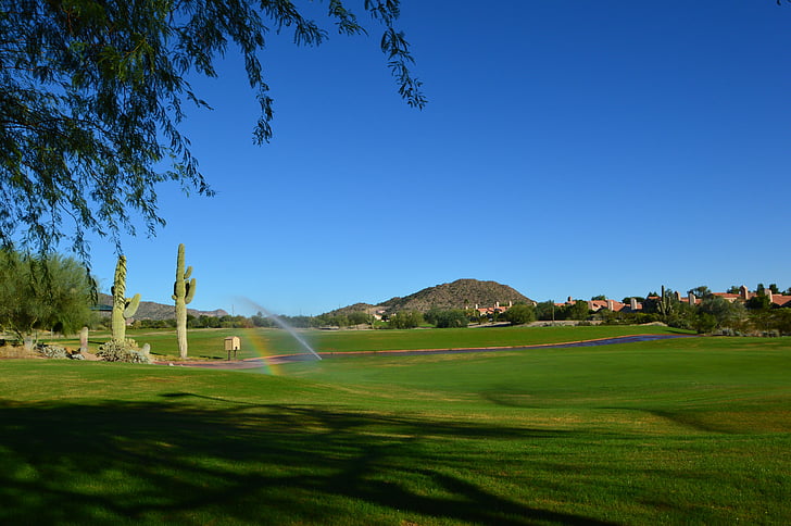 Golfkenttä, Desert, Arizona, näkymä, Mountain, Fairway, Golf