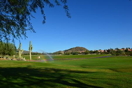 golf igrišče, puščava, Arizona, pogled, gorskih, plovne poti, Golf