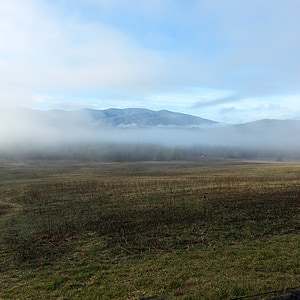 mlha, hory, zakouřený, Nationalpark, Tennessee