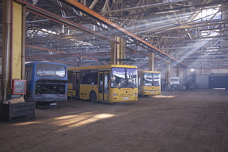 pasażer, Autobus, naprawy, Sklep, roślina, hangar, żółty