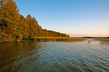 Polen, ostpreußen, Masurien, søen, landskab, natur, skov
