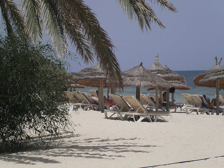 Djerba, brīvdiena, pludmale, jūra, svētku dienas, krasts, Tunisija