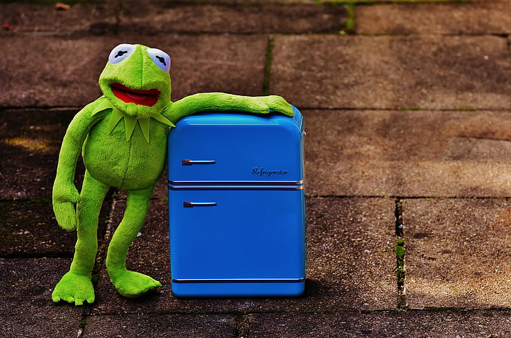 Kermit, ếch, Tủ lạnh, Buồn cười, Hoài niệm, màu xanh lá cây, đồ chơi