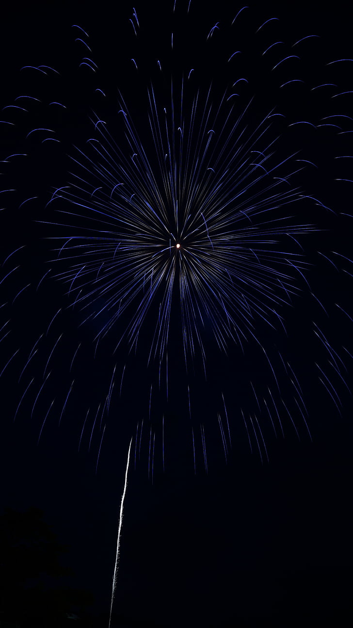 fireworks, summer in japan, night, night sky, light