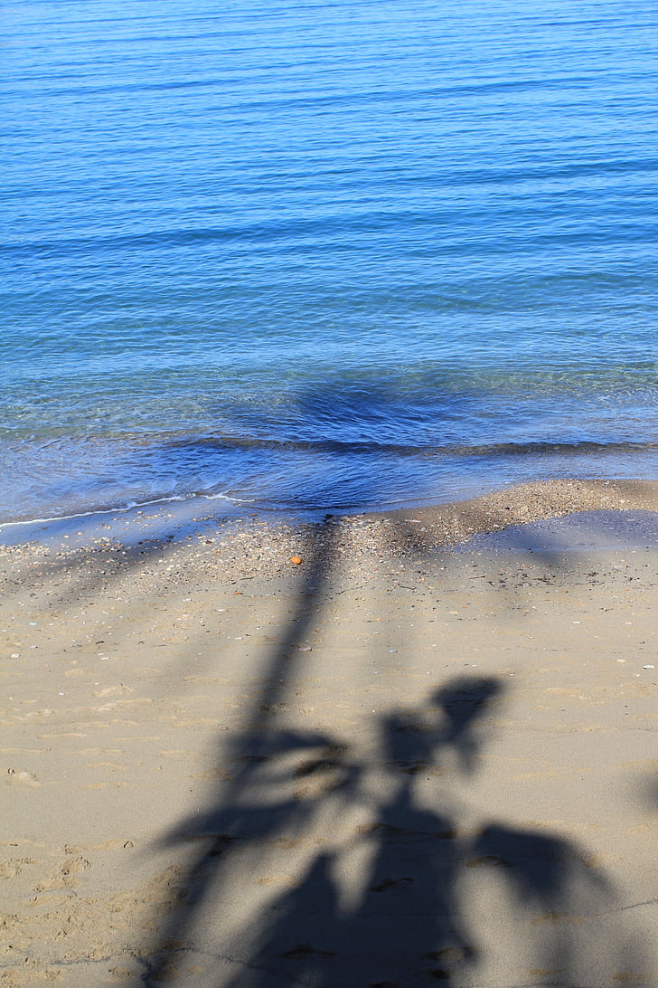 shadow, holiday, palm, sea, beach party, summer
