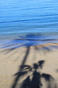Shadow, Holiday, Palm, Sea, Rannapidu, suvel
