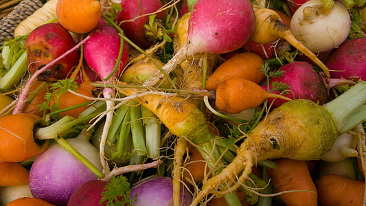 markedet, grønnsaker, Mini grønnsaker, landbruk