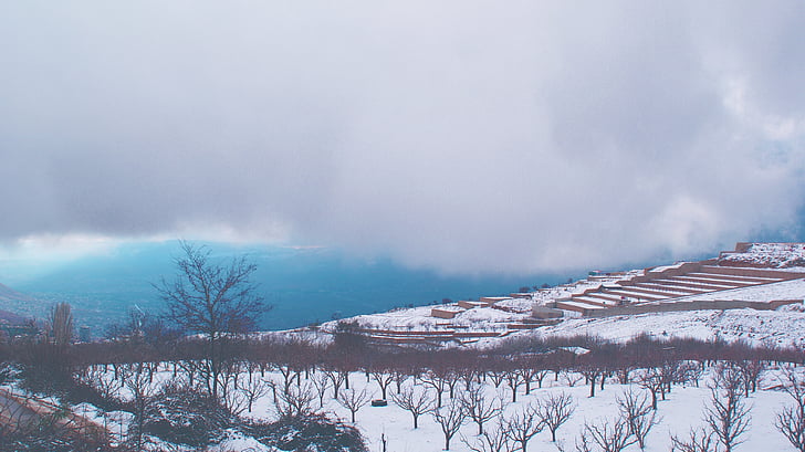 보기, 눈 덮인, 산, 나무, 구름, 클라우드, 눈