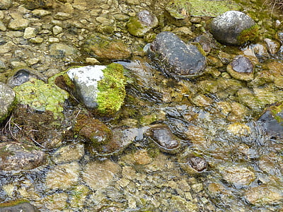 натурална вода, Бах, камъни, поток, вода, природата
