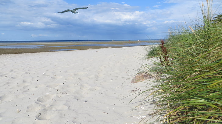 tengerpart, homok, Holiday, gyönyörű, Balti-tenger, tenger, felhők