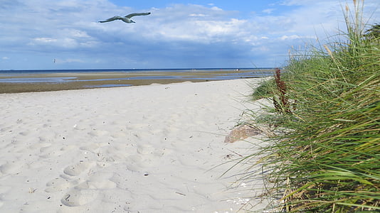 Costa, sabbia, Vacanze, bella, Mar Baltico, mare, nuvole