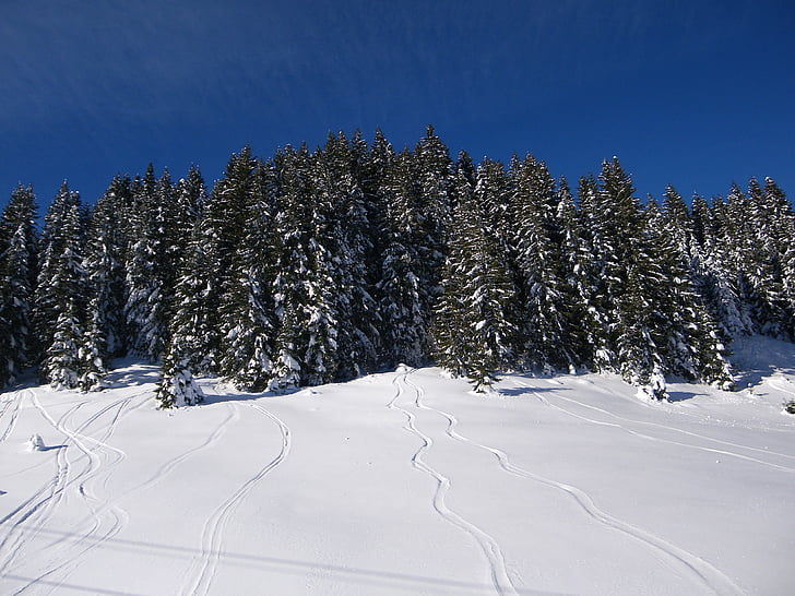 nieve, esquí, traza, montaña, invierno, paisaje, Alpes