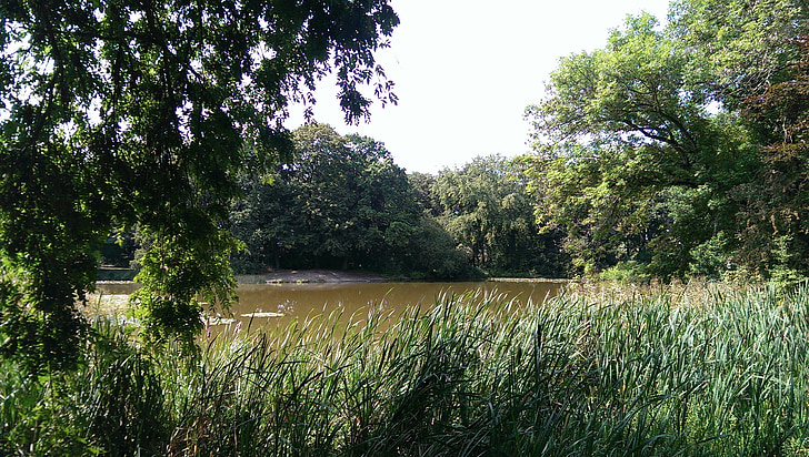 leipzig, pond, germany, park, green, trees