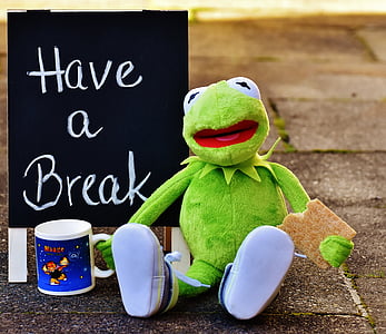 Kermit, Copa, beure cafè, descans, Pausa cafè, tassa de cafè, divertit